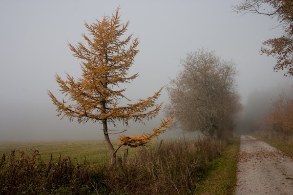 Franken 2012 - Oktober