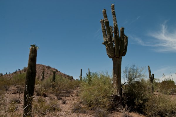 USA Der S�dwesten 2011 - Dezember