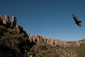 USA Der S�dwesten 2011 - Oktober