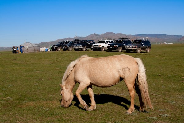 Mongolei 2012 - April